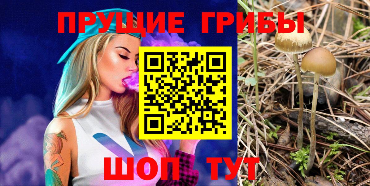 Галлюциногенные грибы GOLDEN TEACHER  Псилоцибиновые грибы Psilocybe  Феодосия  Вход с VPN 